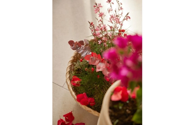 20/03/2025 - Le printemps fait son grand retour !